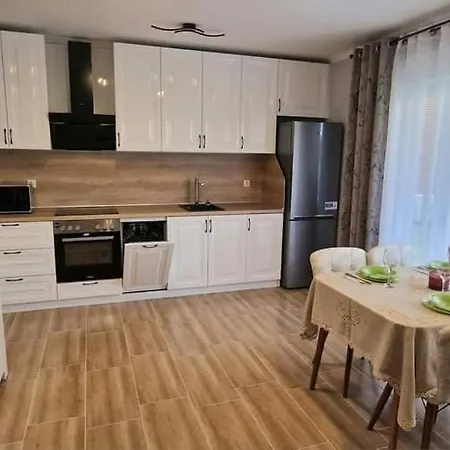 Gg Garden Deluxe 公寓 切尔诺莫雷茨